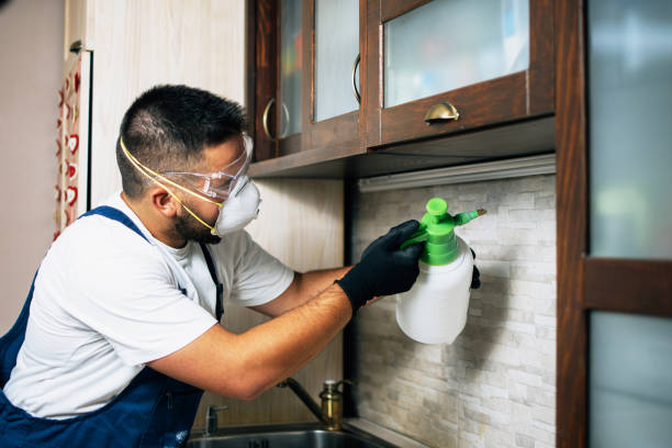 Best Mosquito Control Services  in Crawfordsville, IN