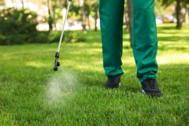 Flea Control Services in Crawfordsville, IN