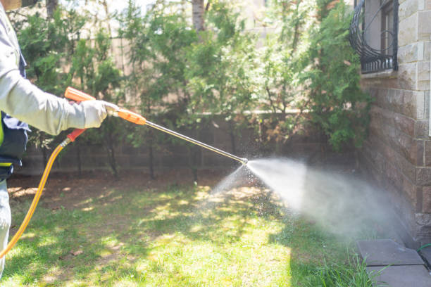 Best Flea Control Services  in Crawfordsville, IN