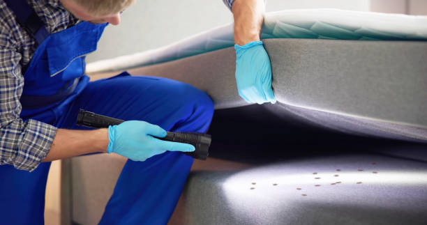 Best Pest Prevention Services  in Crawfordsville, IN