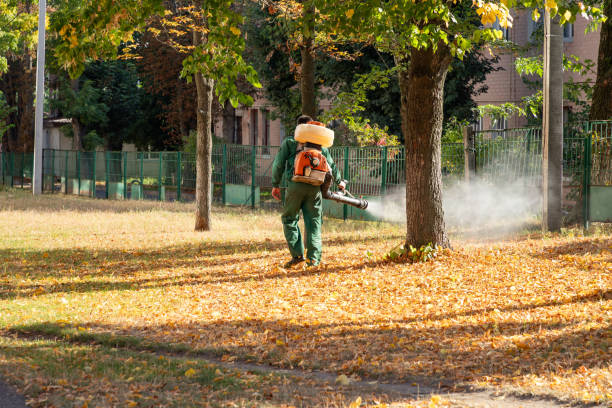 Best Exterminator Services  in Crawfordsville, IN