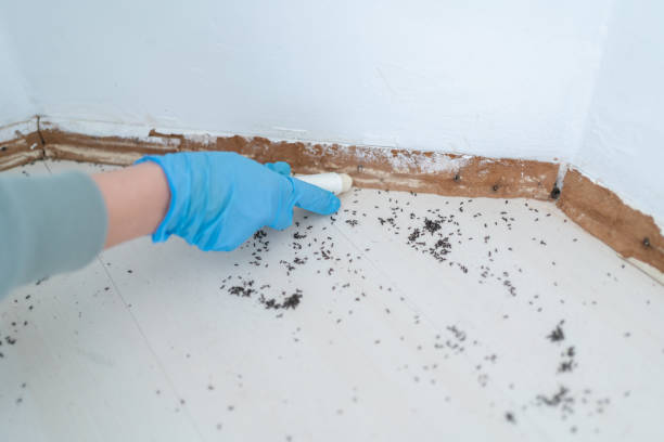 Best Best Pest Control Companies  in Crawfordsville, IN