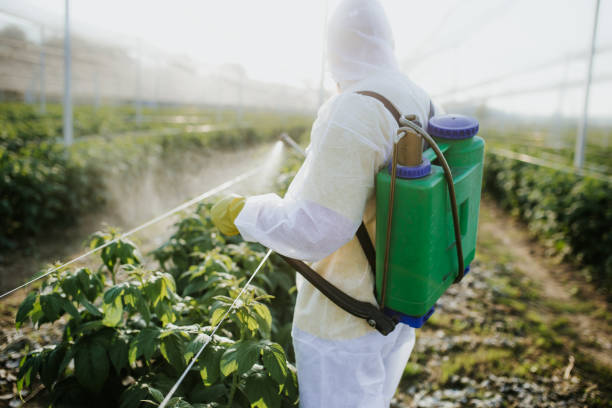 Best Insect Control  in Crawfordsville, IN